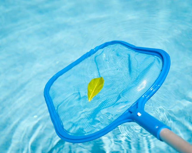 Blue pool skimmer net with a yellow leaf in clear blue water